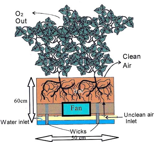 Biological air cleaning system