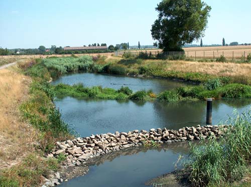 Stormwater treatment wetlands